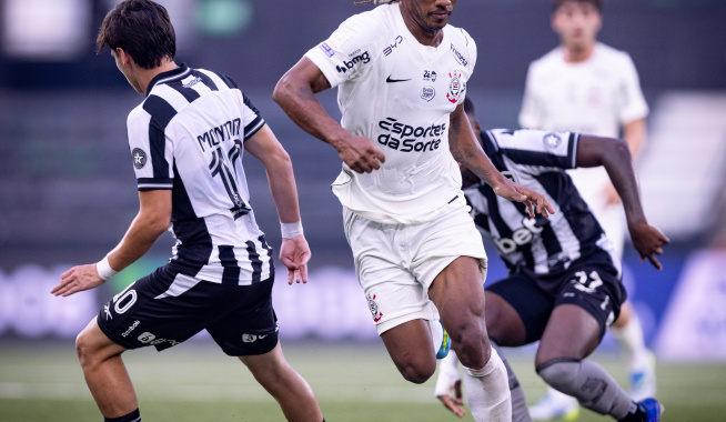 Botafogo 1 x  0 Corinthians  - Brasileir&atilde;o 2013