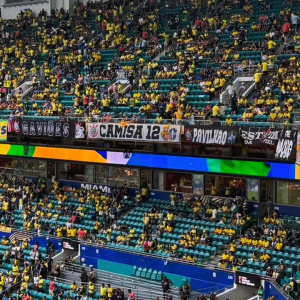 Organizadas do Corinthians marcam presen�a na Copa do Mundo