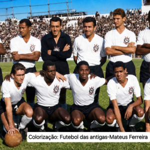 Tim&atilde;o 1962
