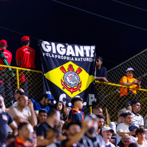 Campeonato Brasileiro de Sele��es Estaduais: a maior vitrine para a Sele��o Brasileira