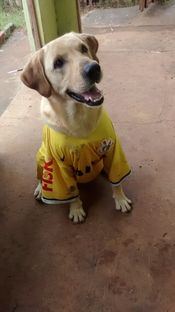Novo camisa 10 do Tim�o