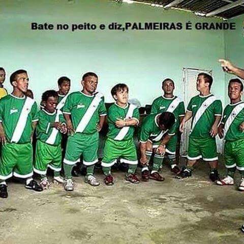 Foto: Bate no peito e diz, o Palmeiras  Grande!
