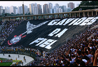 Fernando Garcia: a praga dentro do Corinthians!