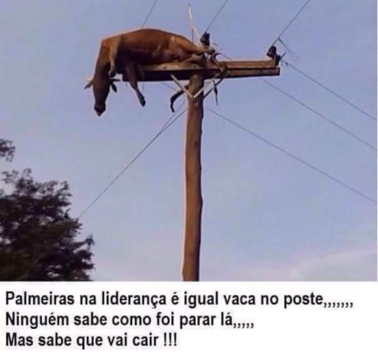 vai cair concerteza