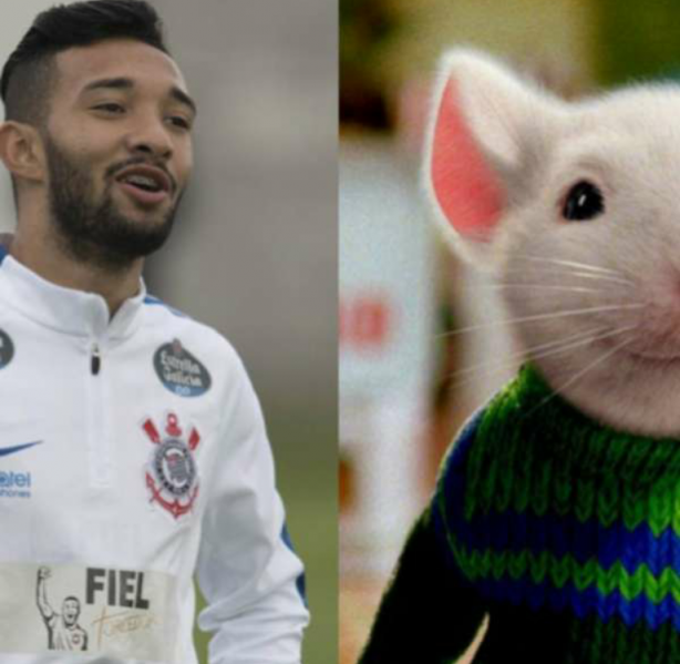 o Craque de 2018