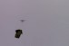 Drone com camisa do Guaran-PAR bate em parede da Arena e cai; veja vdeo