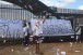 Meia diz que press�o da torcida atrapalha mais jovens; Presidente e Tite comentam protestos