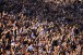 Apesar de interdi��o, Arena promete aumento de p�blico neste s�bado; veja n�meros