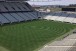 Corinthians apresenta  Fiel novo corte do gramado da Arena; veja
