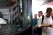 Corinthians envia of�cio e avisa: n�o entra em campo se �nibus for alvejado na chegada ao Morumbi