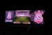 Chuva torrencial danifica tel�o da Arena Corinthians
