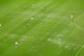 Drenagem do gramado da Arena Corinthians deixa a desejar; diretoria explica