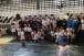 Com presen�a de Gabriel e Dinei, Corinthians realiza festa de P�scoa no Parque S�o Jorge