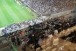 Arena Corinthians registra quinto pior pblico do ano contra o Flamengo