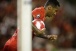 Saiba como J� atuou na sua passagem pelo Nagoya Grampus, do Jap�o