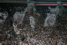 Corinthians anuncia data de lan�amento do novo Fiel�Torcedor; saiba detalhes