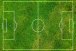 A import�ncia do gramado no futebol