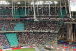 Torcida do Corinthians relembra t�tulo do Paulista e ovaciona elenco em Salvador; veja o v�deo