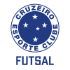 Cruzeiro Futsal