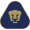 Pumas 