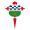 Racing Club de Ferrol