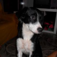 EDUARDO