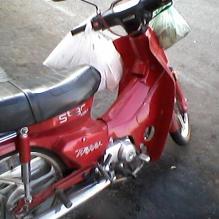 wilber