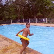 david