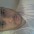 saulo