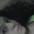Analine