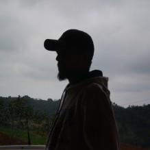 LINO