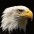 Foto do perfil de Cl�udio