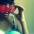 Patr�cia