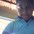 Vinicius