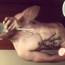 Foto do perfil de Roberto