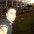 Foto do perfil de Lidson Josue Soares