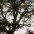 Jo�o