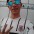 Renan