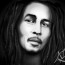 Foto do perfil de Bob