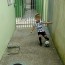 Avatar de Oda Abreu