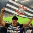 Foto do perfil de Wilton