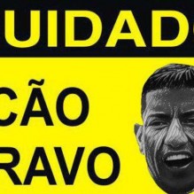 Cachorro