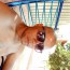 Foto do perfil de Vilela