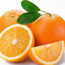 Bols�tario