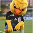 Foto do perfil de JHALINRABEY