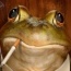 Foto do perfil de Washington