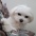 N�colas