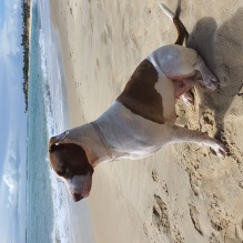 Julio