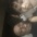 Foto do perfil de S�rgio Dos Santos