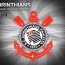 Foto do perfil de savio